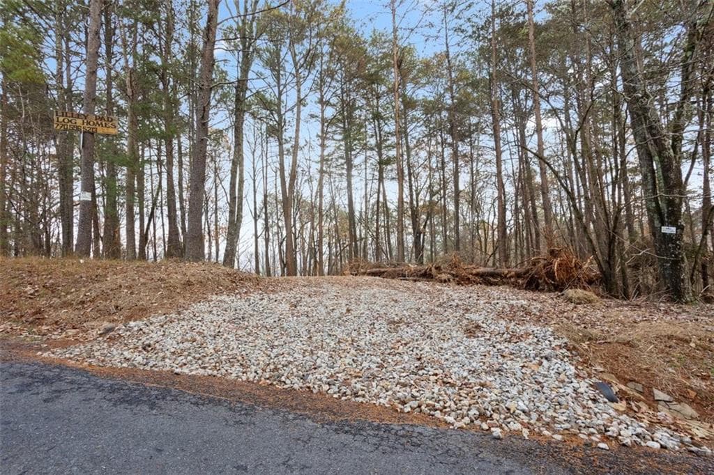 single family residence for sale at 172 Hunter Drive, Talking Rock, GA 30175 — photo 2