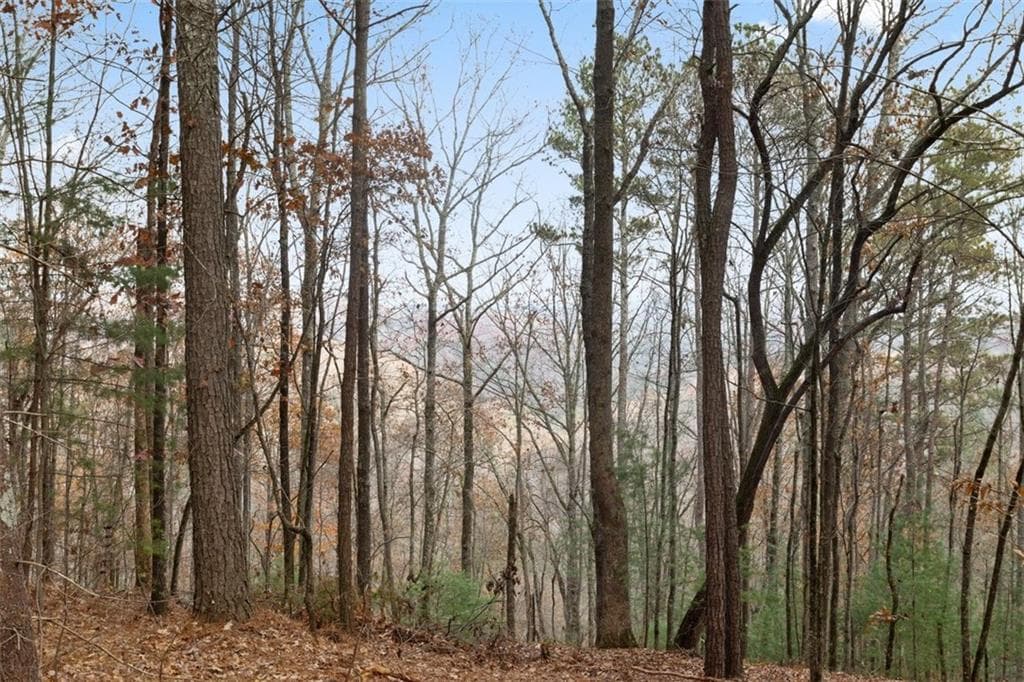 single family residence for sale at 172 Hunter Drive, Talking Rock, GA 30175 — photo 5