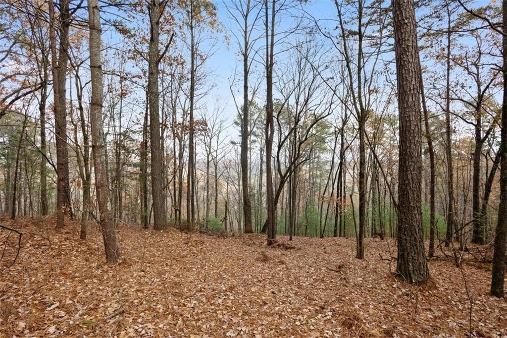 single family residence for sale at 172 Hunter Drive, Talking Rock, GA 30175 — photo 6