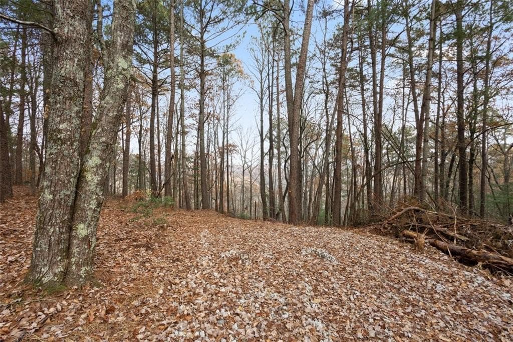 single family residence for sale at 172 Hunter Drive, Talking Rock, GA 30175 — photo 7