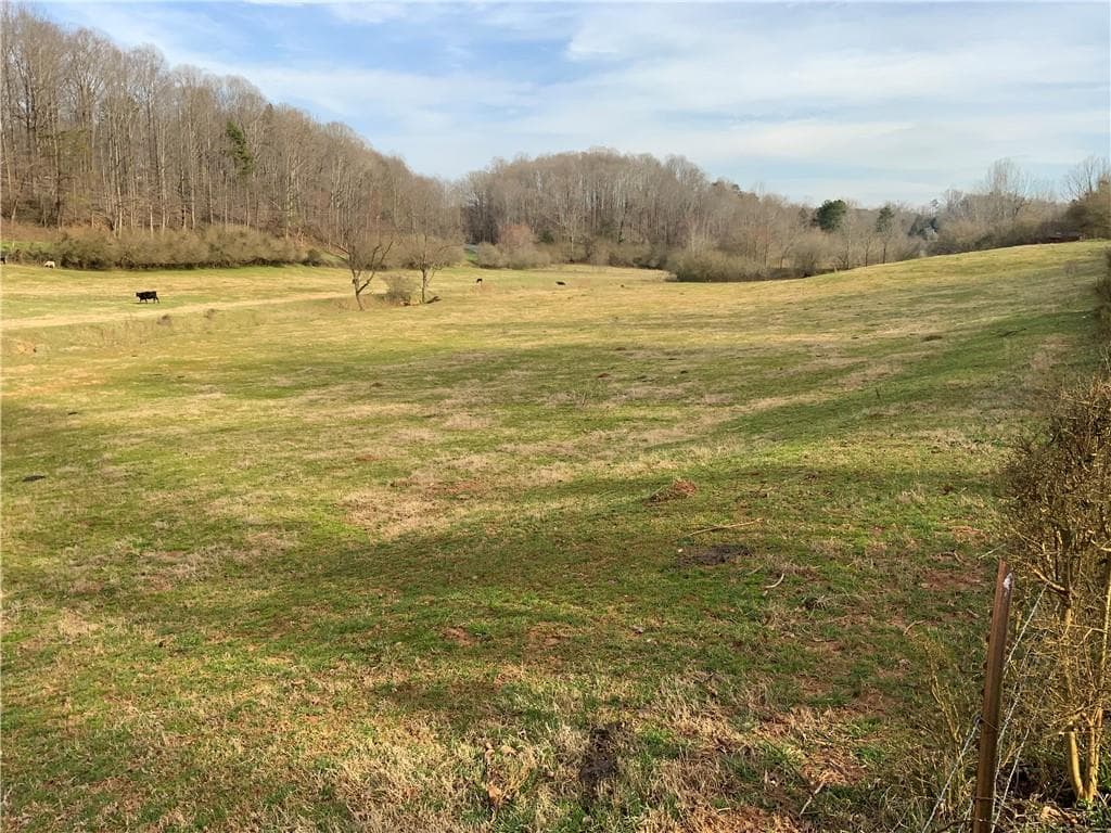 other for sale at 13 ac Aruthur Anderson Road, Dahlonega, GA 30533 — photo 2