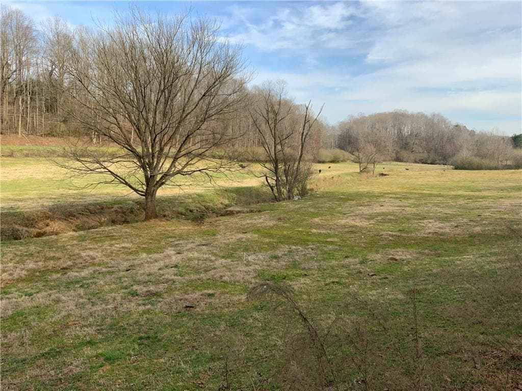 other for sale at 13 ac Aruthur Anderson Road, Dahlonega, GA 30533 — photo 10