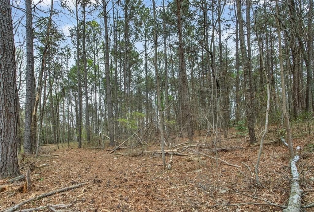 unimproved land for sale at 1812 Upper Bethany Road, Ball Ground, GA 30107 — photo 3