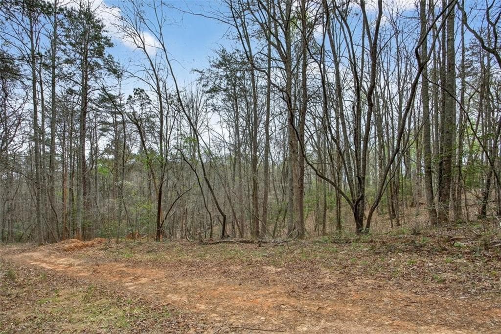 unimproved land for sale at 1812 Upper Bethany Road, Ball Ground, GA 30107 — photo 4