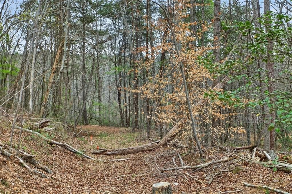 unimproved land for sale at 1812 Upper Bethany Road, Ball Ground, GA 30107 — photo 5