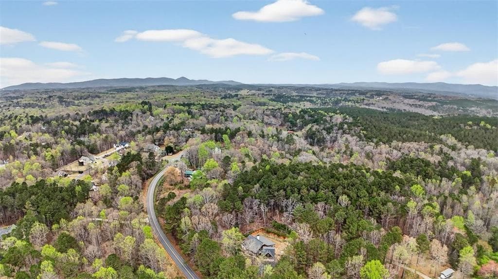 unimproved land for sale at 1812 Upper Bethany Road, Ball Ground, GA 30107 — photo 6