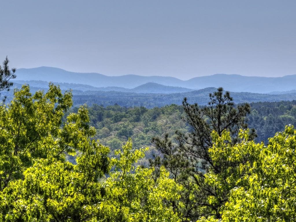 5 bedroom, 5 bathroom, 4,174 sq ft single family residence for sale at 769 Voylestown Road, Morganton, GA 30560 — photo 3