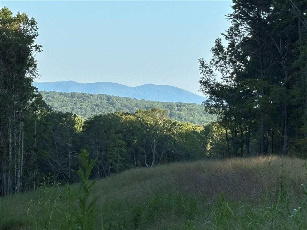 single family residence for sale at Lot 12 Norton Trail, Dahlonega, GA 30533 — photo 5