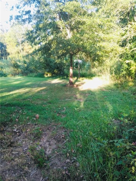 other for sale at 1517 Ninety Seven Springs Road, Dalton, GA 30721 — photo 2