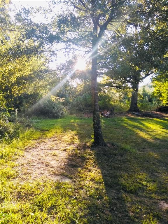 other for sale at 1517 Ninety Seven Springs Road, Dalton, GA 30721 — photo 3