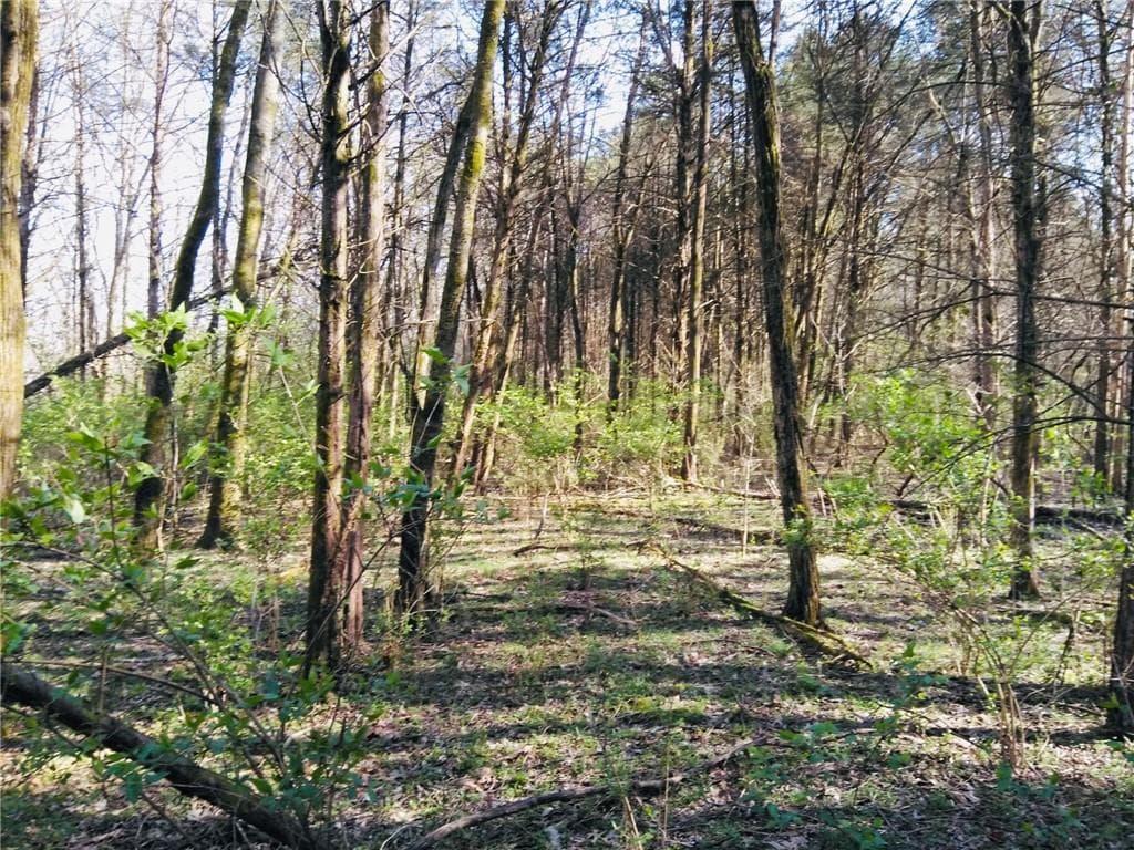 other for sale at 1517 Ninety Seven Springs Road, Dalton, GA 30721 — photo 5
