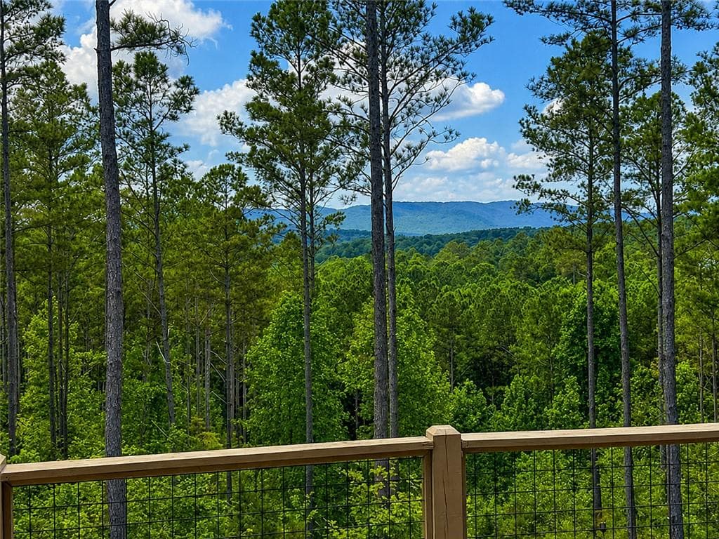 2 bedroom, 2 bathroom, 1,539 sq ft single family residence for sale at 230 High River Landing, Ellijay, GA 30540 — photo 2