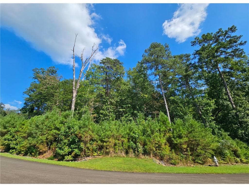 unimproved land for sale at 241 Carters View Lane, Ellijay, GA 30540 — photo 1 of 20
