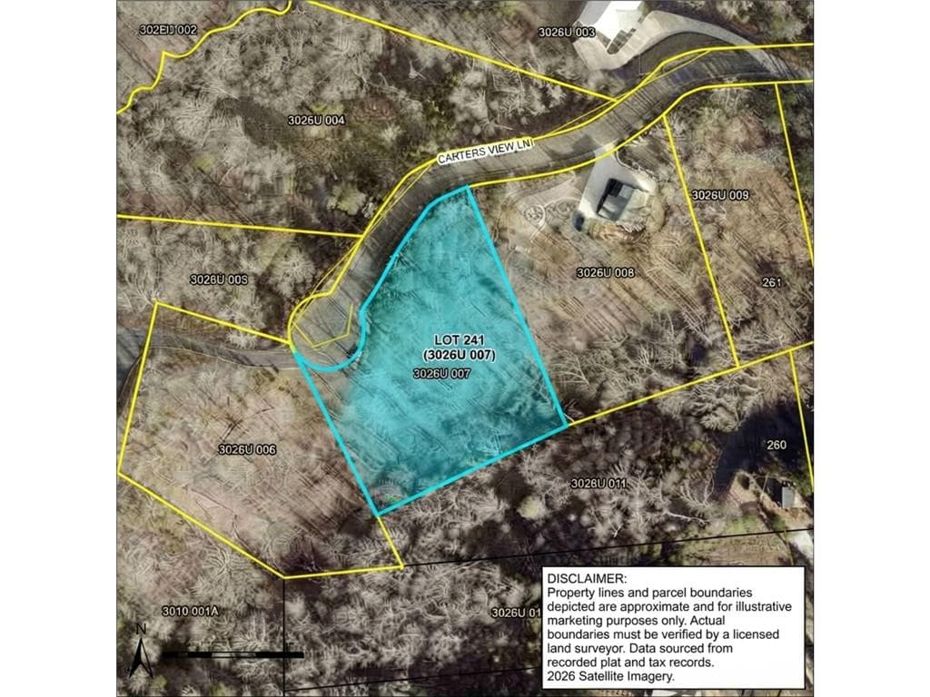 unimproved land for sale at 241 Carters View Lane, Ellijay, GA 30540 — photo 2