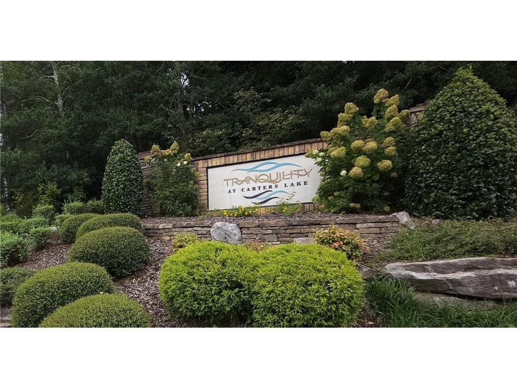 unimproved land for sale at 241 Carters View Lane, Ellijay, GA 30540 — photo 3