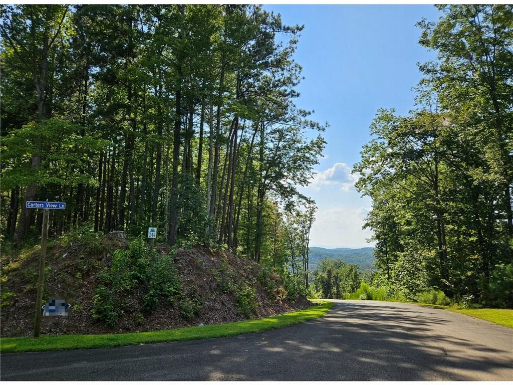 unimproved land for sale at 241 Carters View Lane, Ellijay, GA 30540 — photo 5