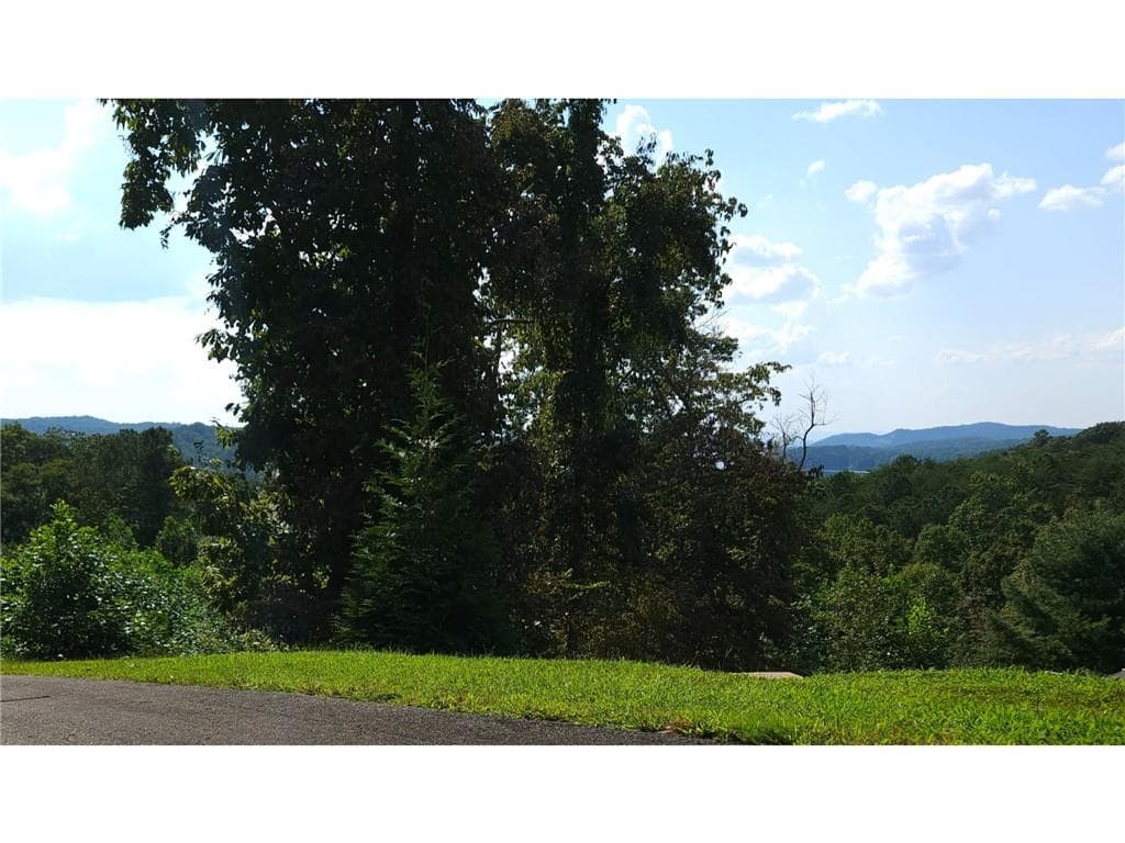 unimproved land for sale at 241 Carters View Lane, Ellijay, GA 30540 — photo 6