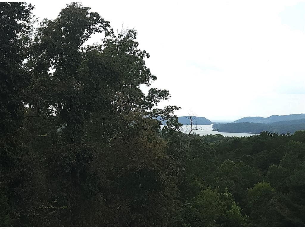 unimproved land for sale at 241 Carters View Lane, Ellijay, GA 30540 — photo 7
