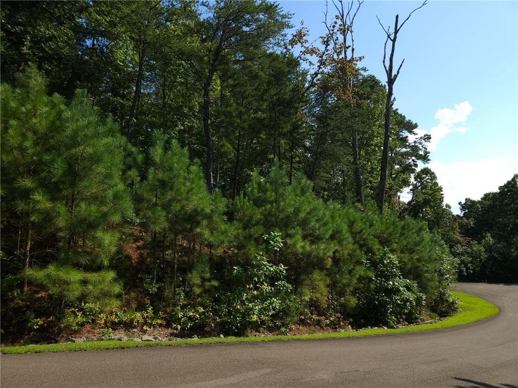 unimproved land for sale at 241 Carters View Lane, Ellijay, GA 30540 — photo 8