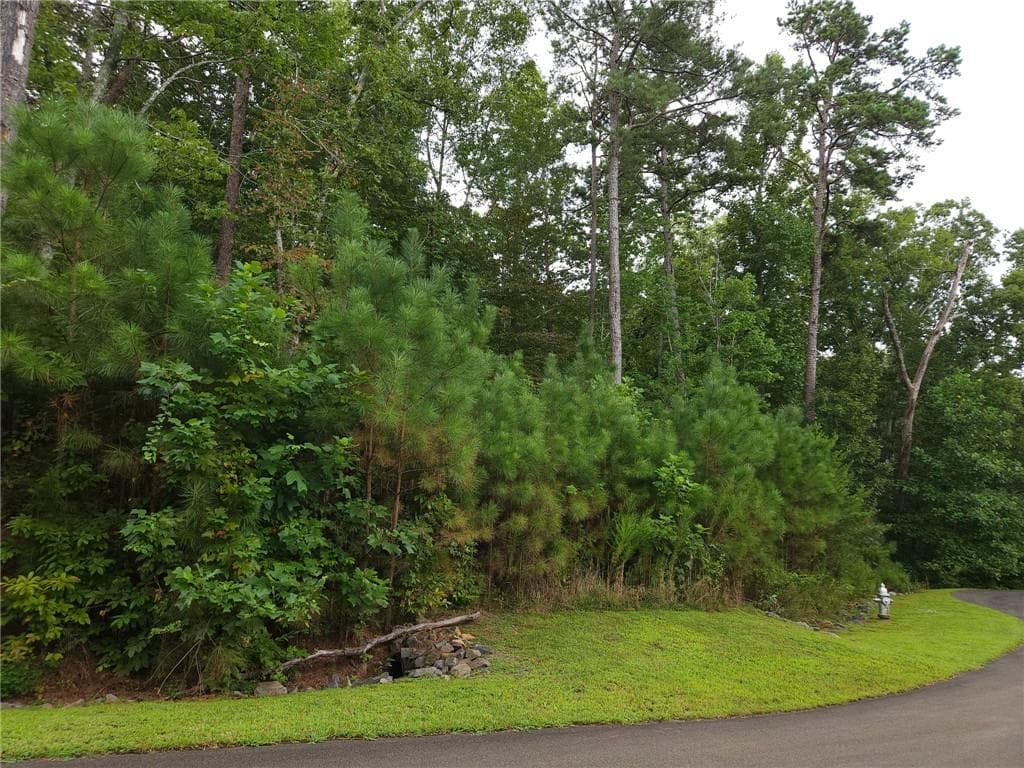 unimproved land for sale at 241 Carters View Lane, Ellijay, GA 30540 — photo 9