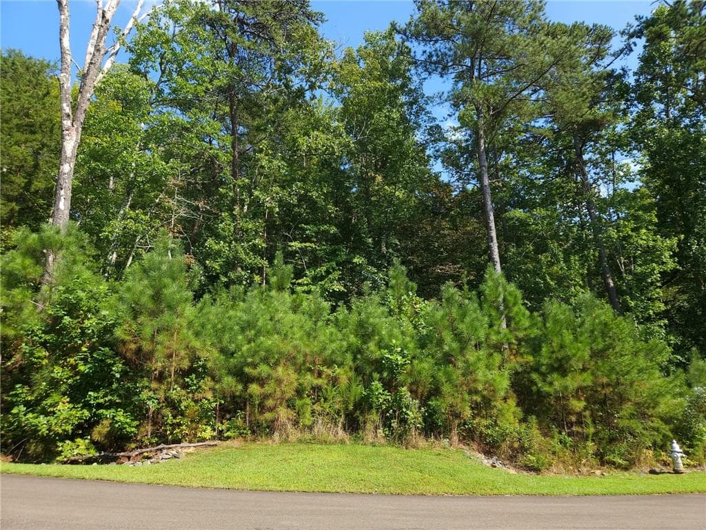 unimproved land for sale at 241 Carters View Lane, Ellijay, GA 30540 — photo 10