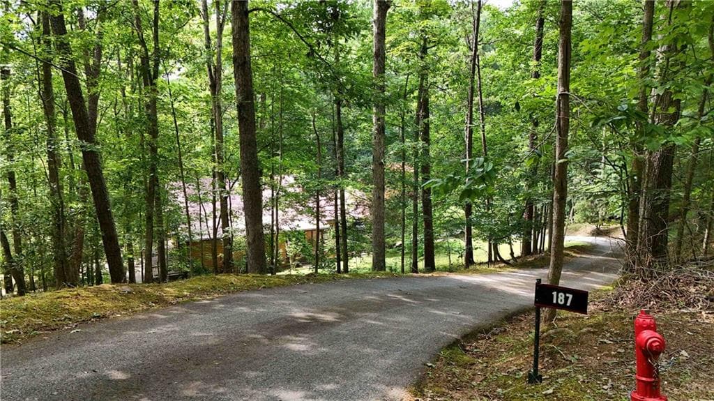 3 bedroom, 3 bathroom, 4,236 sq ft single family residence for sale at 187 Still Water Way, Demorest, GA 30535 — photo 5
