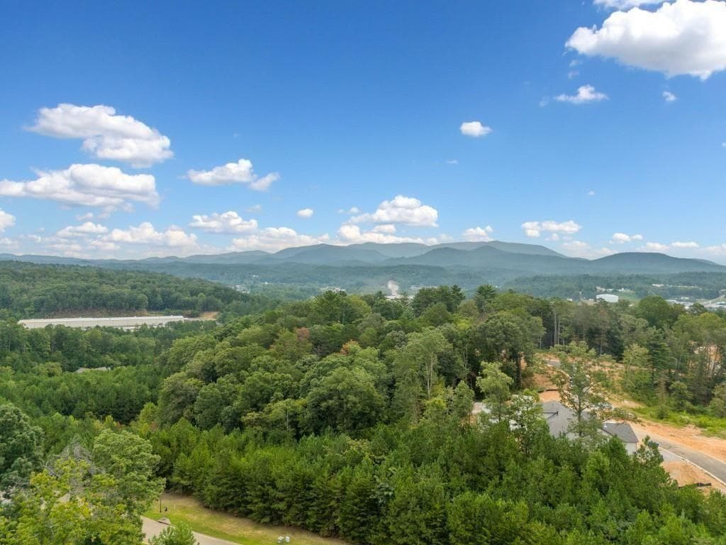 3 bedroom, 2 bathroom, 1,958 sq ft single family residence for sale at 179 Summit View, Ellijay, GA 30540 — photo 8