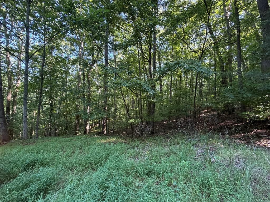 single family residence for sale at 6 & 7 Mill Ridge Rd, Hiawassee, GA 30546 — photo 5
