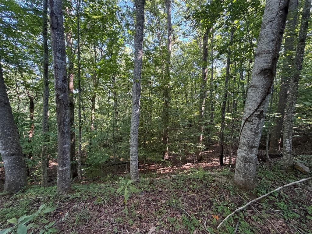 single family residence for sale at 6 & 7 Mill Ridge Rd, Hiawassee, GA 30546 — photo 6