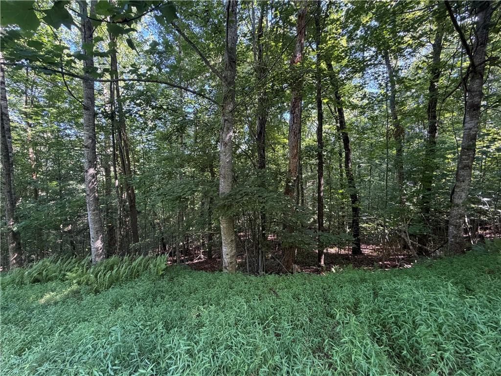 single family residence for sale at 5 Mill Ridge Road, Hiawassee, GA 30546 — photo 3
