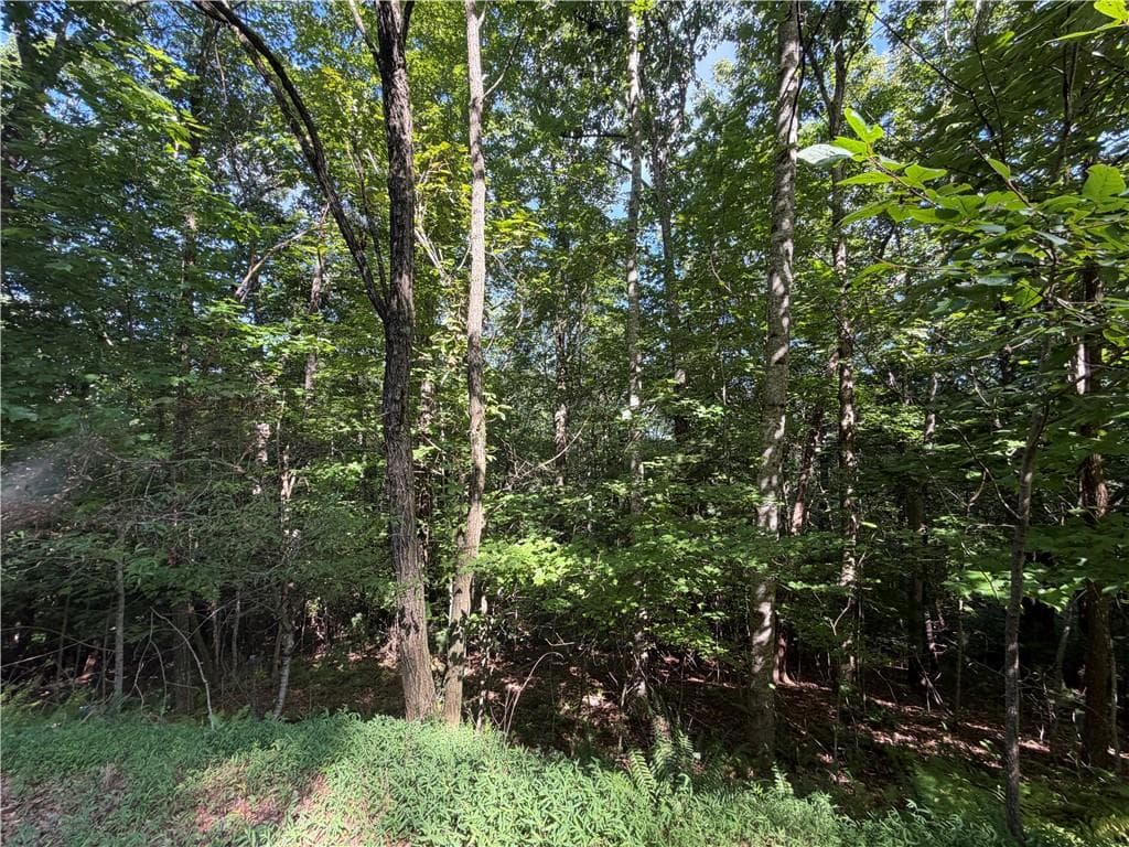 single family residence for sale at 5 Mill Ridge Road, Hiawassee, GA 30546 — photo 4