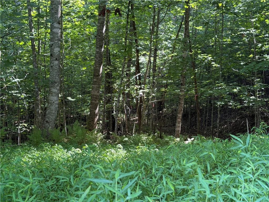 single family residence for sale at 5 Mill Ridge Road, Hiawassee, GA 30546 — photo 5