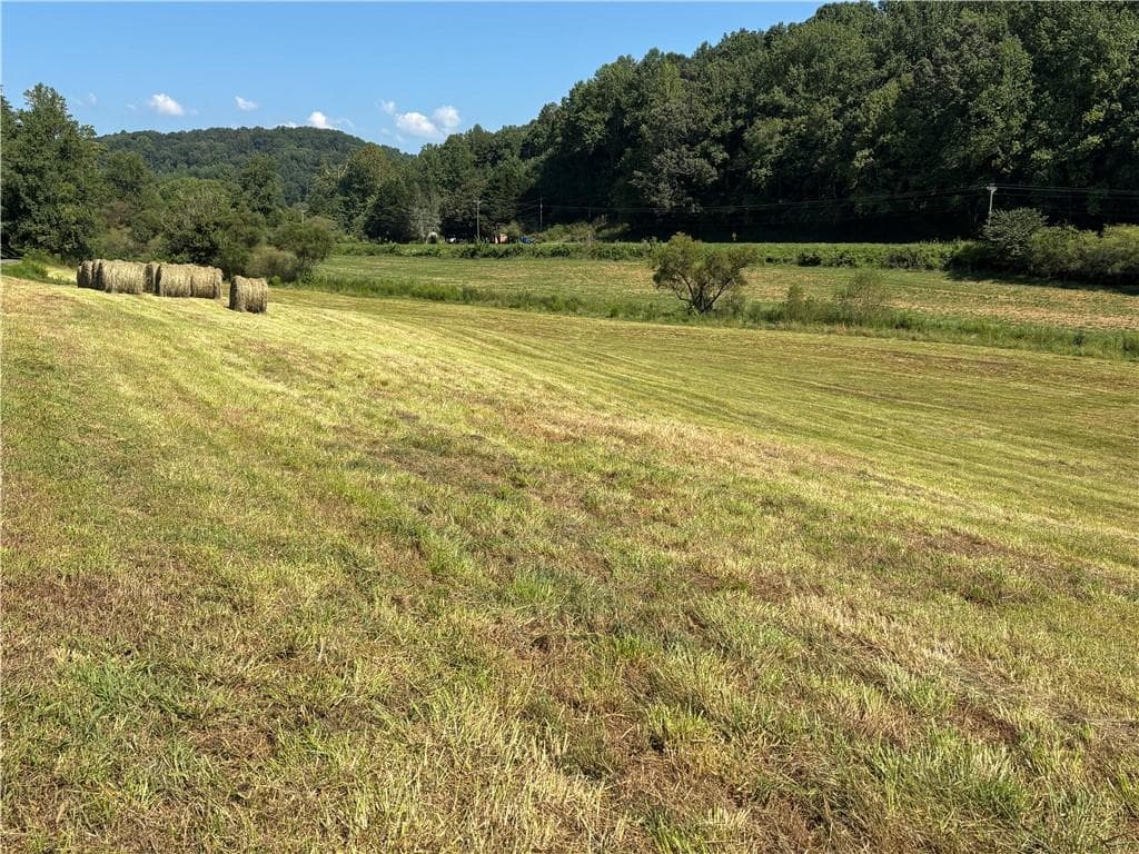 other for sale at 13 ac Aruthur Anderson Road, Dahlonega, GA 30533 — photo 4