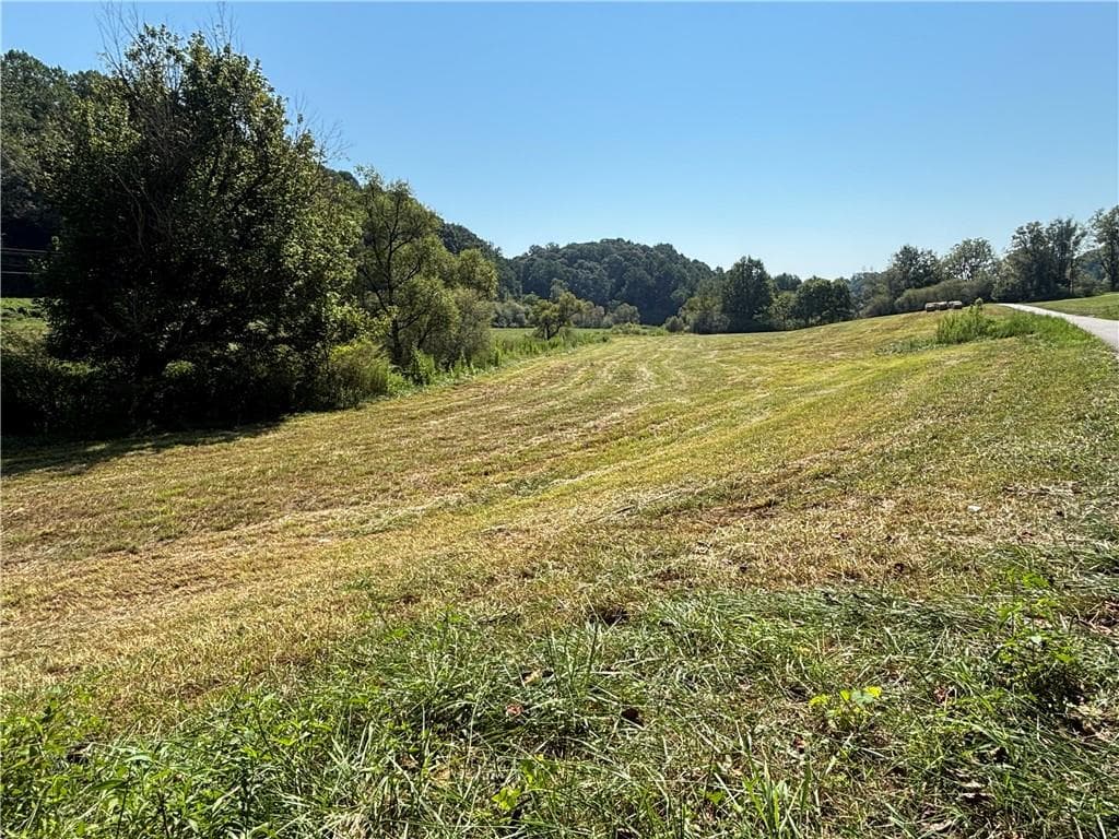 other for sale at 13 ac Aruthur Anderson Road, Dahlonega, GA 30533 — photo 7