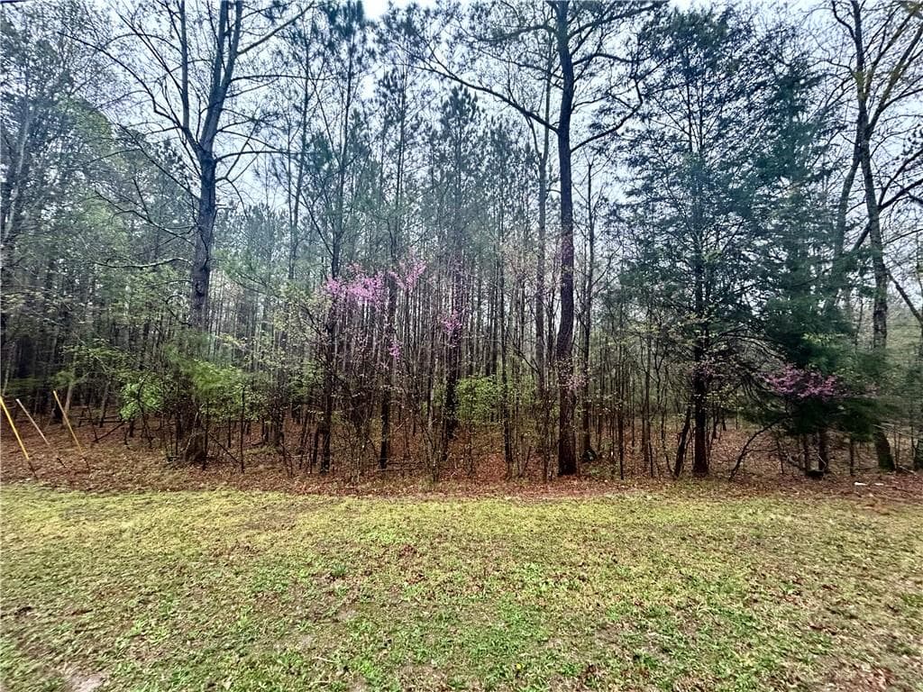 unimproved land for sale at 0 Walker Mountain Road, Rome, GA 30161 — photo 1 of 13