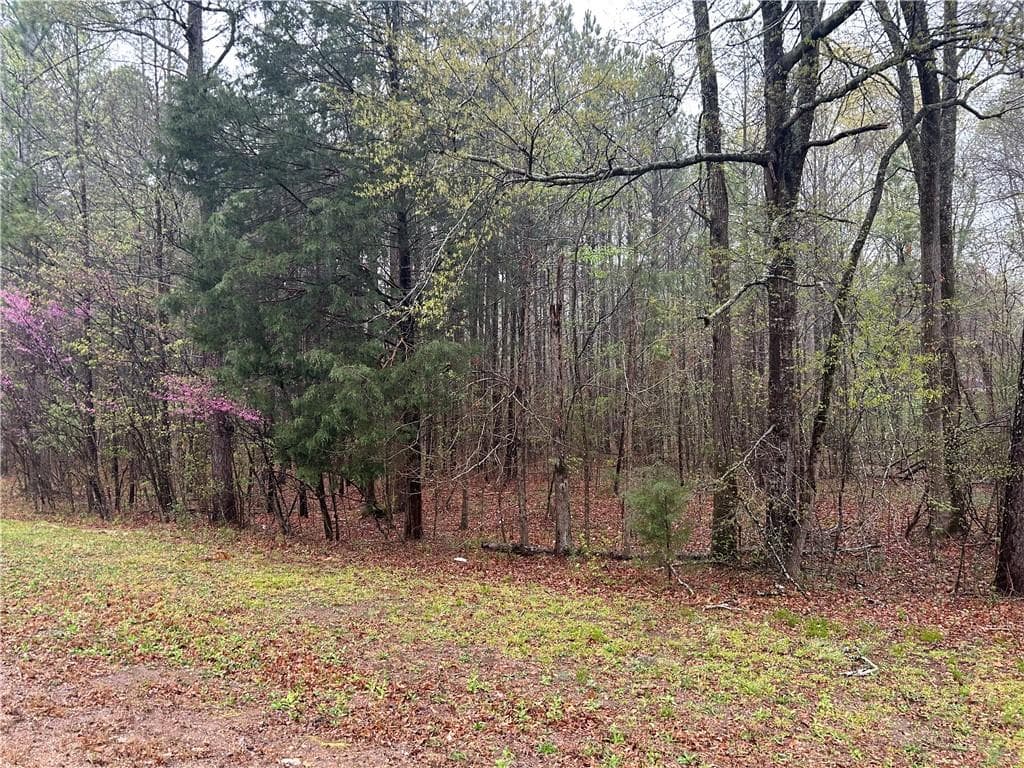 unimproved land for sale at 0 Walker Mountain Road, Rome, GA 30161 — photo 2