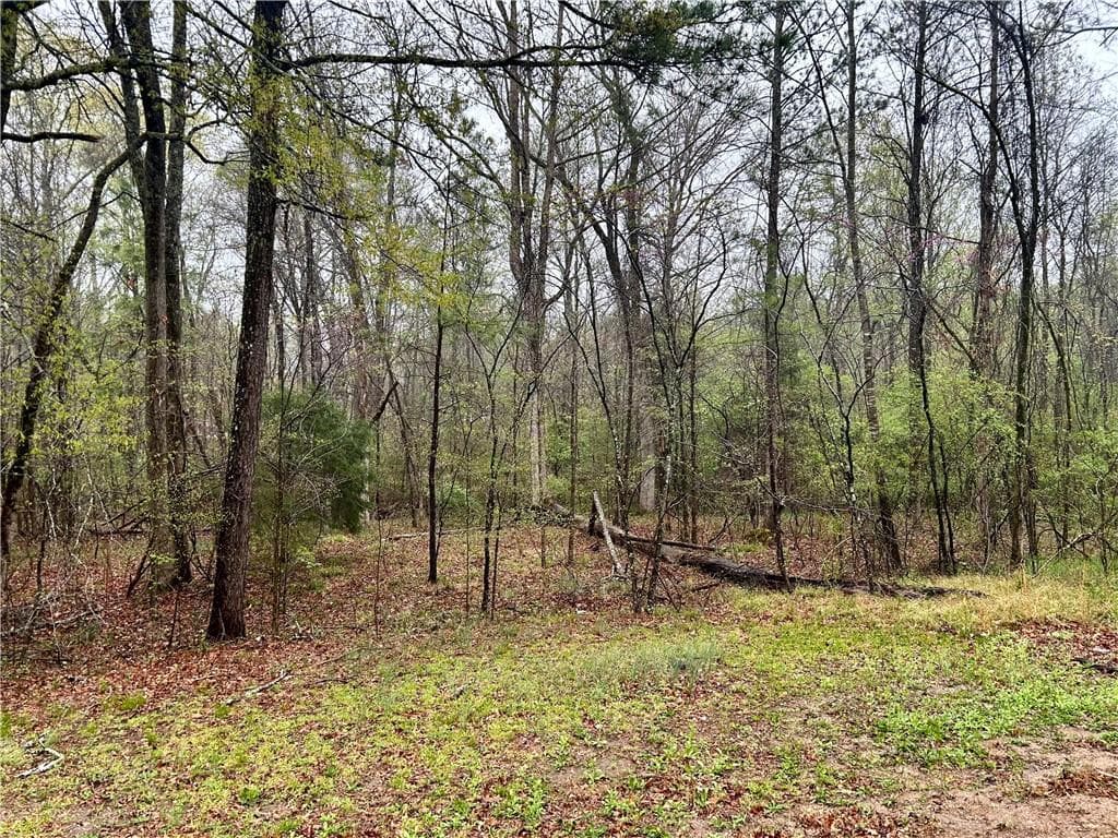 unimproved land for sale at 0 Walker Mountain Road, Rome, GA 30161 — photo 3