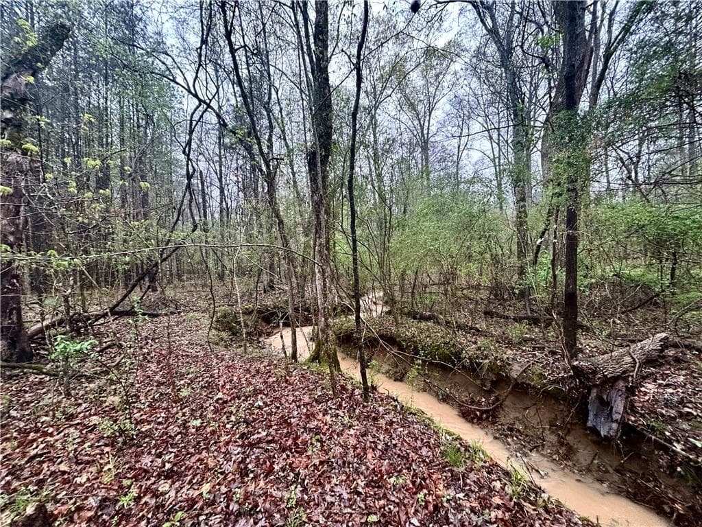 unimproved land for sale at 0 Walker Mountain Road, Rome, GA 30161 — photo 4