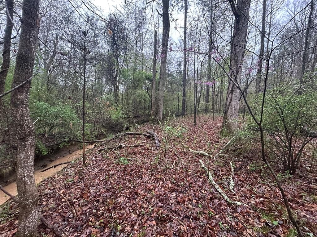 unimproved land for sale at 0 Walker Mountain Road, Rome, GA 30161 — photo 5