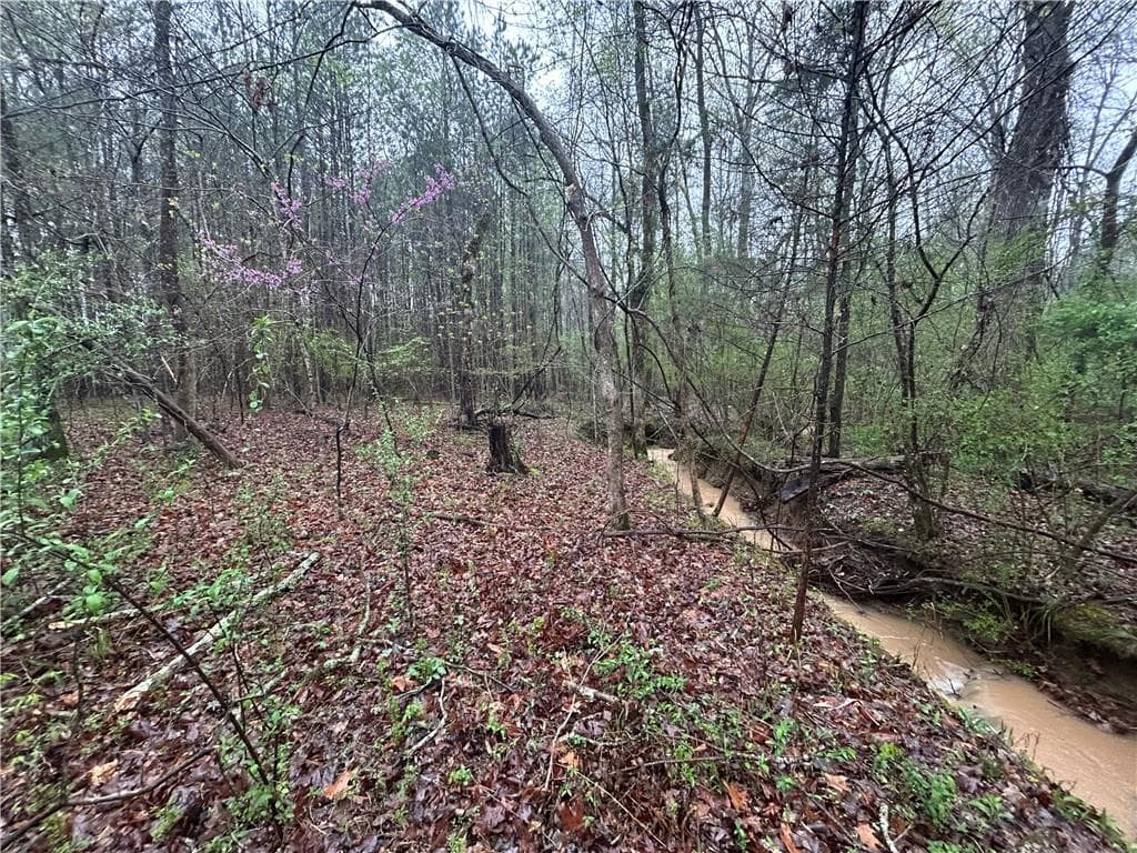 unimproved land for sale at 0 Walker Mountain Road, Rome, GA 30161 — photo 6