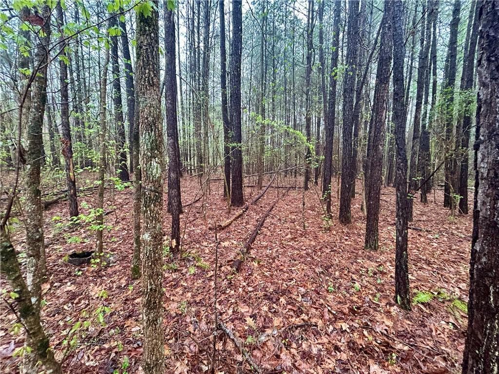 unimproved land for sale at 0 Walker Mountain Road, Rome, GA 30161 — photo 7