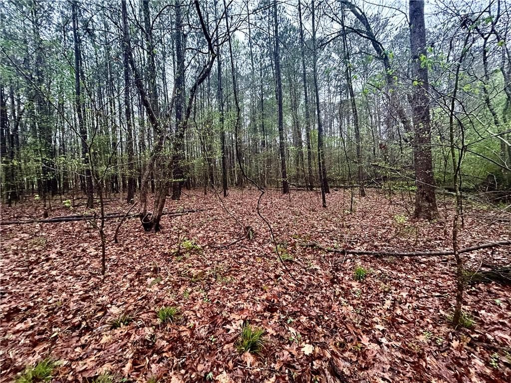unimproved land for sale at 0 Walker Mountain Road, Rome, GA 30161 — photo 8