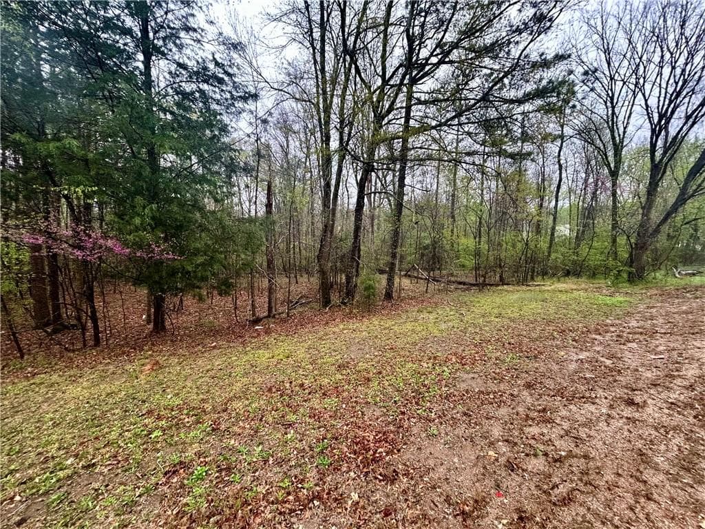 unimproved land for sale at 0 Walker Mountain Road, Rome, GA 30161 — photo 10