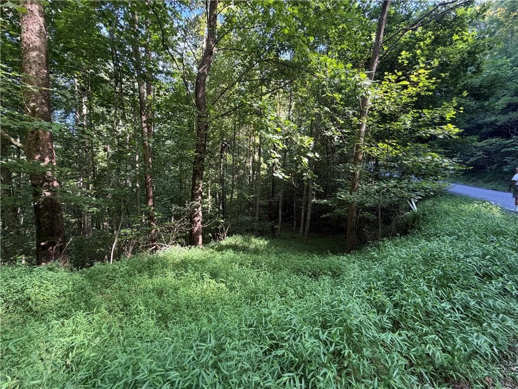 single family residence for sale at 4 Mill Ridge Road, Hiawassee, GA 30546