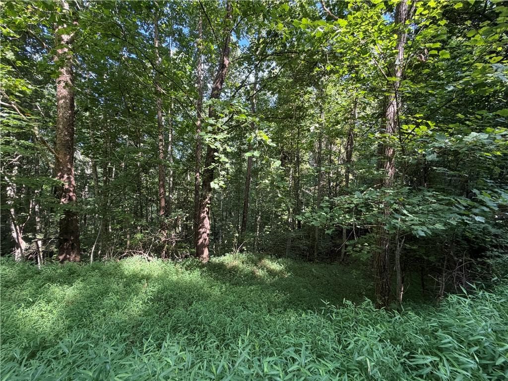 single family residence for sale at 4 Mill Ridge Road, Hiawassee, GA 30546 — photo 3