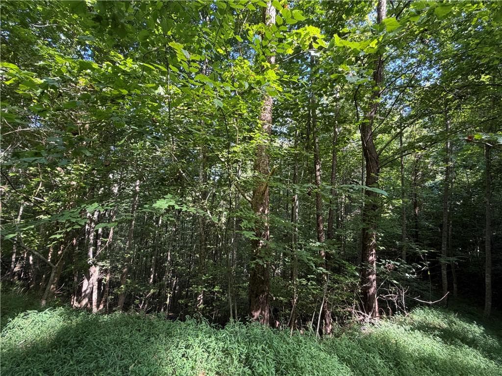 single family residence for sale at 4 Mill Ridge Road, Hiawassee, GA 30546 — photo 4