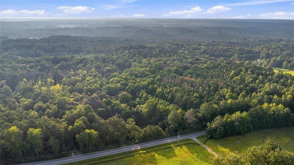 unimproved land for sale at 8010 Campbellton Redwine Road, Chattahoochee Hills, GA 30268 — photo 2