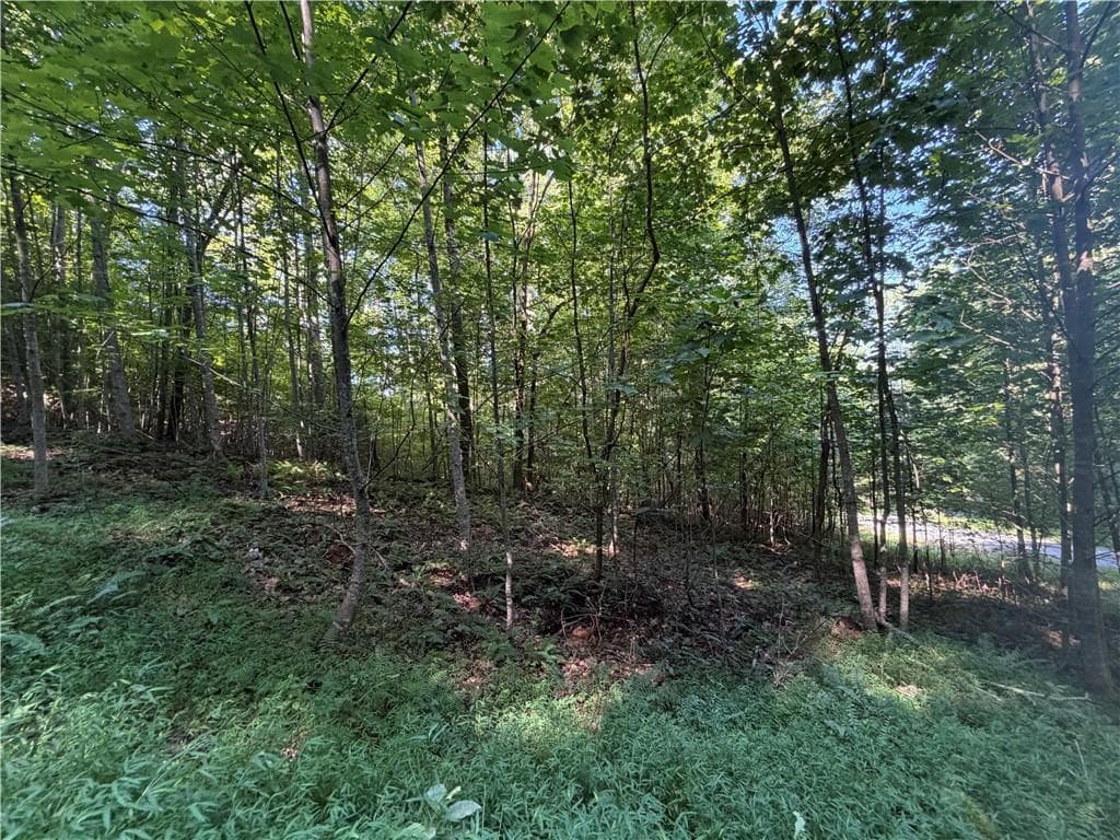 single family residence for sale at Lot 19 Mill Ridge Rd, Hiawassee, GA 30546 — photo 6