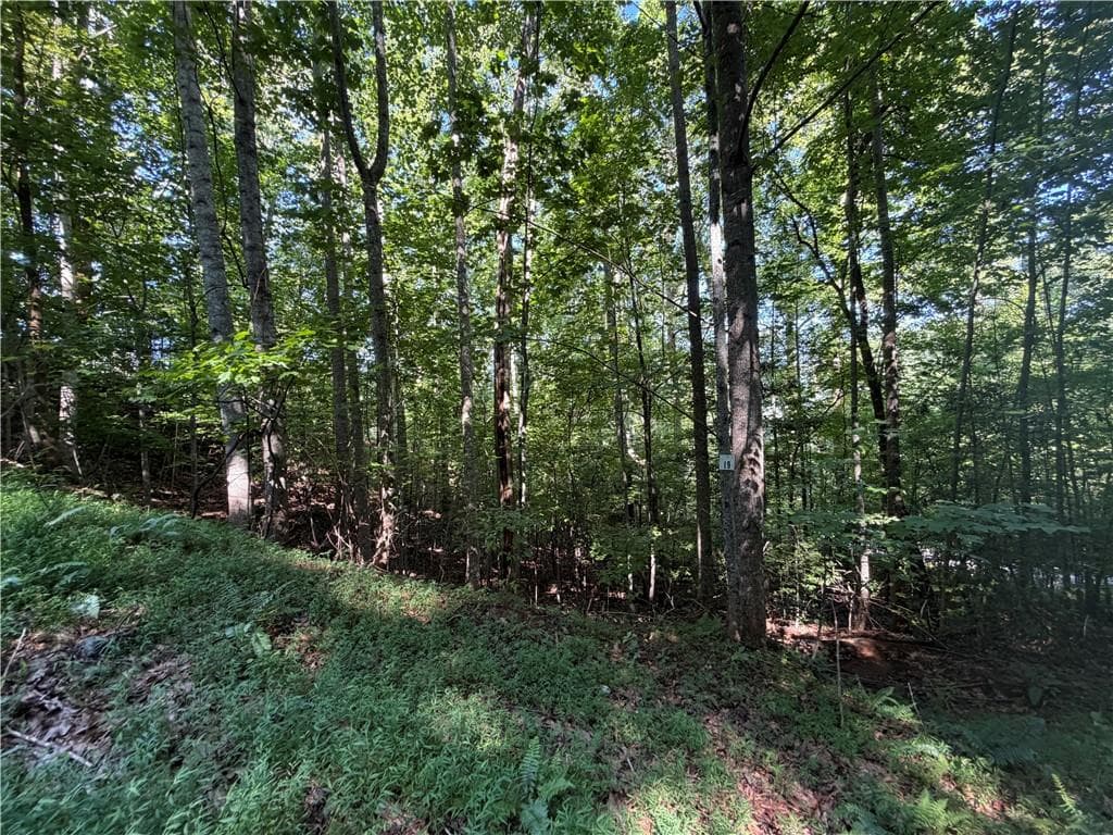 single family residence for sale at Lot 19 Mill Ridge Rd, Hiawassee, GA 30546 — photo 7