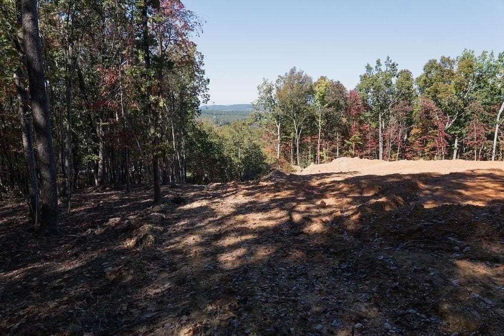 unimproved land for sale at 34 E Heritage Drive, Rydal, GA 30171 — photo 5